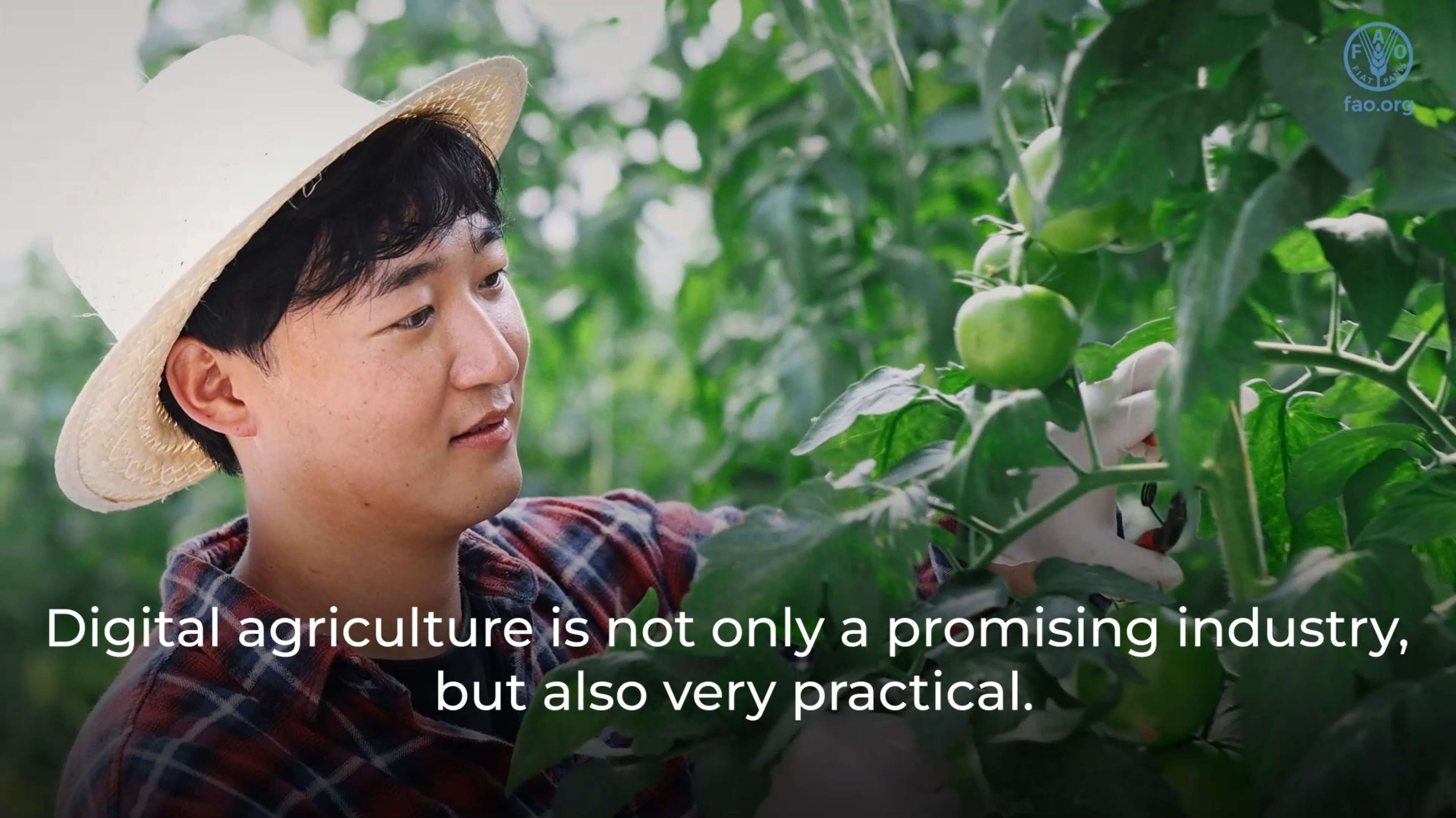 Digital agriculture in Korea