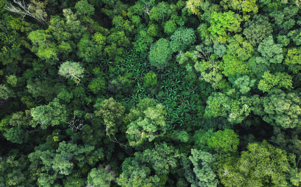 산림교육 프로그램 인증제 홍보영상