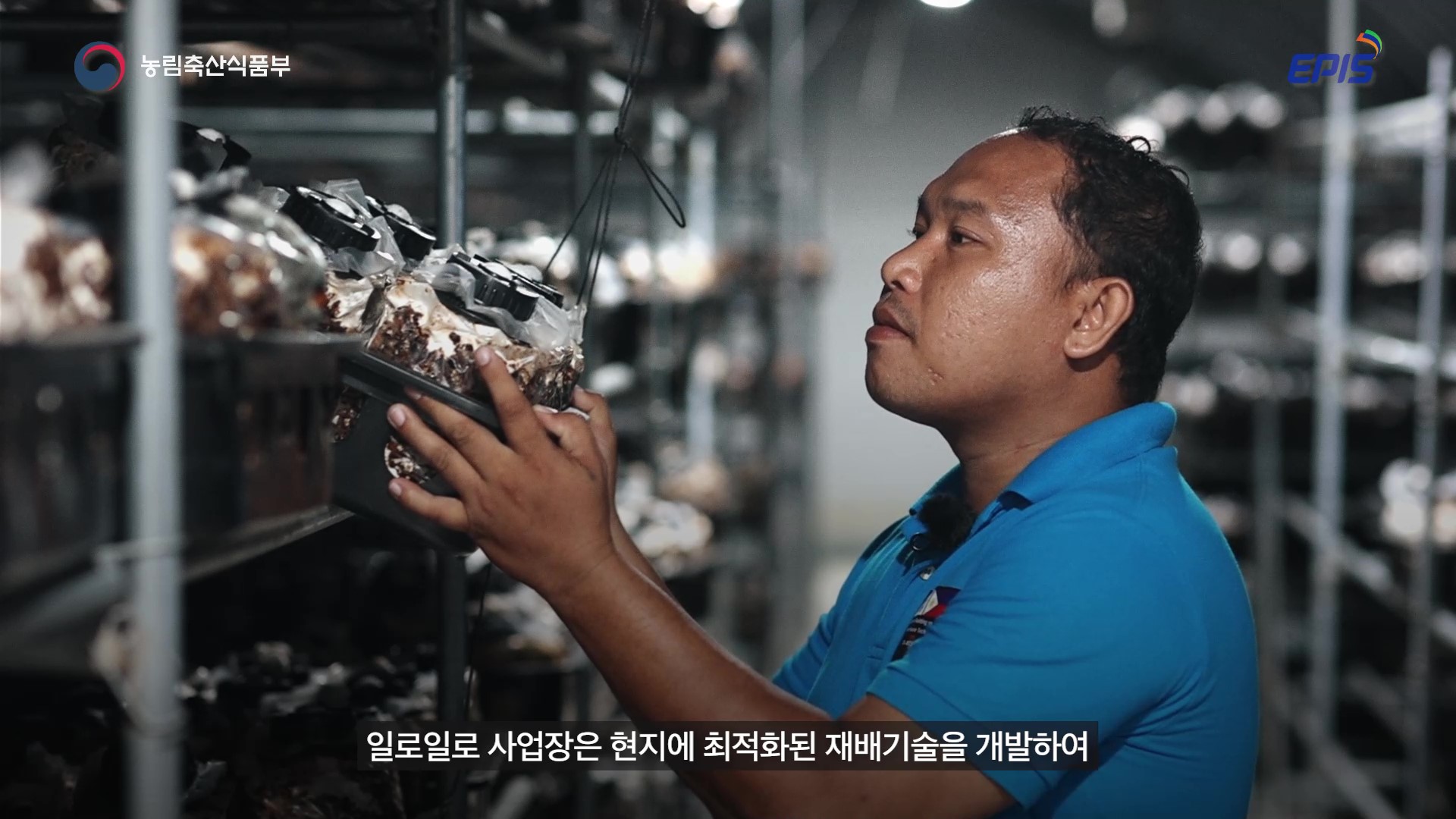 Smartfarm ODA in Philippines